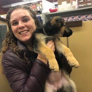 Meet your Posher, Annie